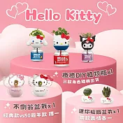 為你每天加加油【green pandora】hello kitty 組合 (不倒翁盆栽(經典款、50週年款擇一)+療癒植物瓶(三款隨機出貨)+迷你磁鐵盆栽(2入組)) 經典款（白色）款不倒翁