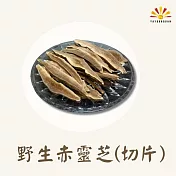 【亞源泉】野生赤靈芝 500g