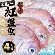 【好嬸水產】極鮮凍三去野生紅盤魚310G 4包(免運組)