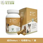 【威旺WeWant】毛膚順犬用保健品 30粒/罐 (皮膚養護亮毛配方)