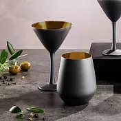 《VEGA》Aolani消光玻璃杯(黑金420ml) | 水杯 茶杯 咖啡杯
