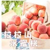 *預購 黑貓嚴選【桃園拉拉山】水蜜桃(8粒/2台斤8兩/盒) 6/17~6/25