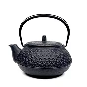 福介商店 日本鑄鐵壺 南部鐵器 IWACHU 巖鑄 新龜甲 5型鐵壺兼用急須0.65L