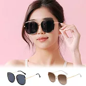 【ALEGANT】魅力時尚金屬設計方框墨鏡/UV400太陽眼鏡 雁鳥黑