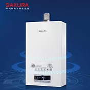 【SAKURA 櫻花】16L 四季溫渦輪增壓熱水器 DH1693F (天然瓦斯NG1) 送安裝