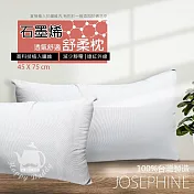 JOSEPHINE約瑟芬 石墨烯恆溫透氣舒柔枕頭(45x75cm) 臺灣製造 8463