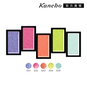 【Kanebo 佳麗寶】KANEBO 晶鑽炫彩眼影凍 1g# EX2