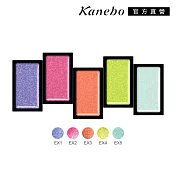 【Kanebo 佳麗寶】KANEBO 晶鑽炫彩眼影凍 1g# EX4