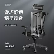 【好氣氛家居】S型精準護脊透氣掛衣工學椅-兩色可選 黑色