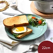 Staub 圓形淺盤 22cm 鼠尾草 餐盤 盛菜盤 圓盤 陶瓷盤