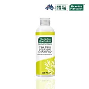 【Thursday Plantation 星期四農莊】茶樹日常洗髮精 250ml (澳洲原裝進口)