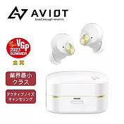 【AVIOT】TE-Q3 輕量超迷你 主動降噪 無線藍牙耳機 IPX4防水 高級MEMS麥克風 6色 珍珠白
