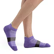 【紐西蘭Icebreaker 】女 薄毛圈多功能運動踝襪-紫/咖啡/薄荷綠 M