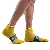 【紐西蘭Icebreaker 】男 薄毛圈多功能運動踝襪-芥末黃/墨綠 L