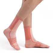 【紐西蘭Icebreaker 】女 中筒輕薄毛圈慢跑襪(+)- S 珊瑚粉橘