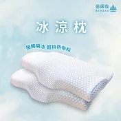 Beroso超值兩入組-臺灣SGS檢驗合格護頸防鼾記憶枕 涼感款