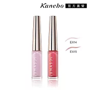 【Kanebo 佳麗寶】LUNASOL 晶巧霓光眼線液 2.2g# EX14