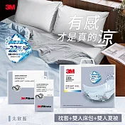 3M新一代舒棉防蟎枕套床包機能涼夏被-雙人四件組(夏被+床包+枕套2入) 北歐藍