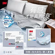 3M新一代舒棉防蟎枕套床包機能涼夏被-雙人加大四件組(雙人夏被+雙人加大床包+枕套2入) 北歐藍