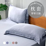 法國CASA BELLE《淡雅淨色》天絲壓框枕套-2入(共五色)-藍灰色