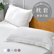 法國CASA BELLE《淡雅淨色》天絲壓框枕套-2入(共五色)-白色