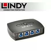 LINDY 林帝 USB 3.2 4埠切換器 (43144)