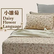 【麗塔寢飾】100%純棉 單人床包 小雛菊