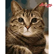 ArtLife藝術生活【DT061】慵懶的貓_DIY 數字 油畫 彩繪