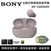 SONY 索尼 WF-1000XM5 主動式降噪 真無線入耳式耳機 台灣公司貨 玫瑰灰