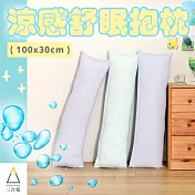 《三合苑HOMESense》涼感小長抱枕 100x30cm 情人節 聖誕節 交換禮物 臺灣製(三色任選) 藍莓