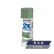 樂立恩 RUSTOLEUM 2X 極致雙效彩漆 多色澤(兩倍遮蓋/340g) 249071青苔綠