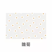 【E.dot】超值2入透明防霉防潮防滑墊 (抽屜墊 / 廚櫃墊 / 桌墊 / 保潔墊) 雛菊