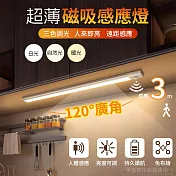 伊德萊斯 人體感應燈 LED小夜燈 AH-87E 磁吸感應燈 餵奶燈 過道燈 (USB充電) 銀邊40cm