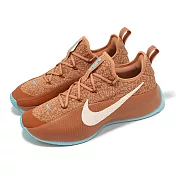 Nike 訓練鞋 LeBron TR 1 Better With Age 琥珀棕 湖水綠 LBJ 運動鞋 FJ6151-200 27cm BROWN/GREEN