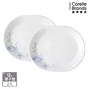 【美國康寧 CORELLE】 春晨藍花兩件式腰子盤組-B01