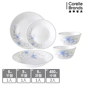 【美國康寧 CORELLE】春晨藍花5件式碗盤組-E01