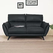 Homelike 喜家居雙人座皮革沙發(2427)