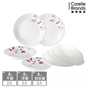 【美國康寧 CORELLE】嫣紅微風6件式8吋餐盤組-F01