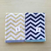 CHEVRON今治時尚長巾 2入組 花草綠+海軍藍