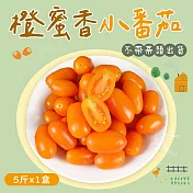 【禾鴻】橙蜜香小番茄禮盒5斤x1盒(不帶蒂頭出貨) 01/06-01/14出貨