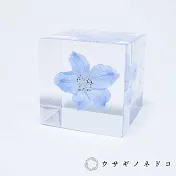 【usaginonedoko 京都兔之床】Sola cube 翠雀花立方塊 (花言葉：高貴、給你幸福) | 鈴木太太公司貨