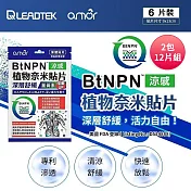 麗臺 Amor BtNPN植物奈米貼布(12片)薑黃素增量版 8ZD1 台灣製