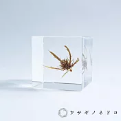【usaginonedoko 京都兔之床】Sola cube 刺芹立方塊 (宙言葉：驅逐災禍) | 鈴木太太公司貨