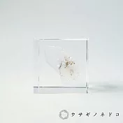 【usaginonedoko 京都兔之床】Sola cube Mineral礦石立方塊 水晶 (宙言葉：時間的結晶) | 鈴木太太公司貨
