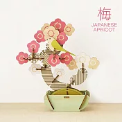 Dreams BONSAI PUZZLE 立體拼圖  梅