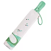 【RAINSTORY】仙人掌抗UV雙人自動傘