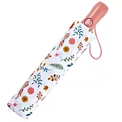 【RAINSTORY】春光綻放抗UV雙人自動傘