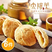 【太陽堂烘焙坊】經典太陽餅禮盒x6盒(奶素 12入/盒)