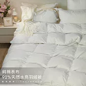 【麗塔寢飾】6x7雙人 羽絨被90/10優質天然