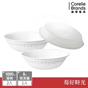 【美國康寧 CORELLE】莓好時光- 2件式湯碗組-BA